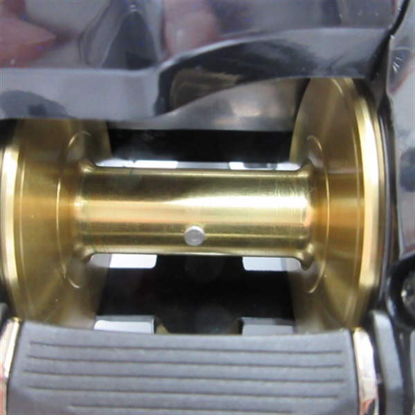 ２０ビーストマスターＥＪ１０００